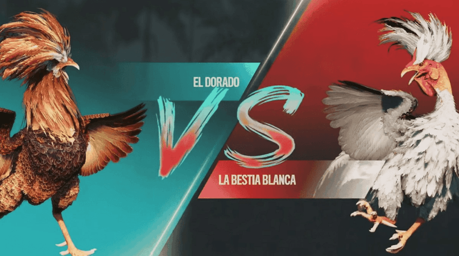 volcanicpg oficial Cassino Login